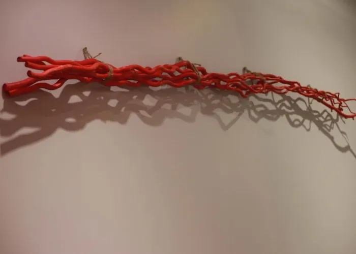 Bed & Breakfast Sanibel Fethard-on-Sea